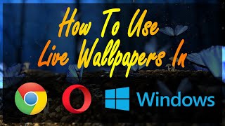 How To Use Live Wallpaper In Chrome, Opera And Windows | NoorHUB screenshot 5