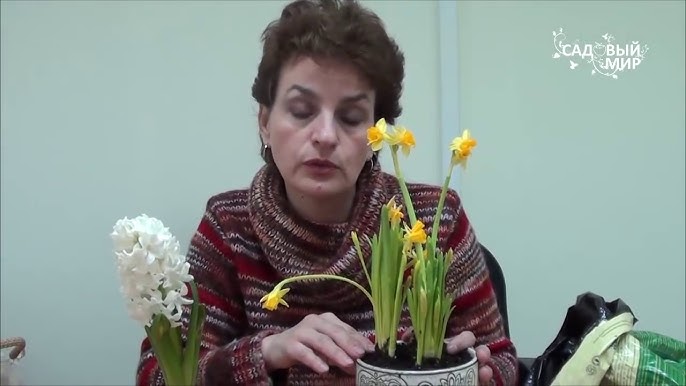 Что делать с тюльпанами после цветения: советы по уходу