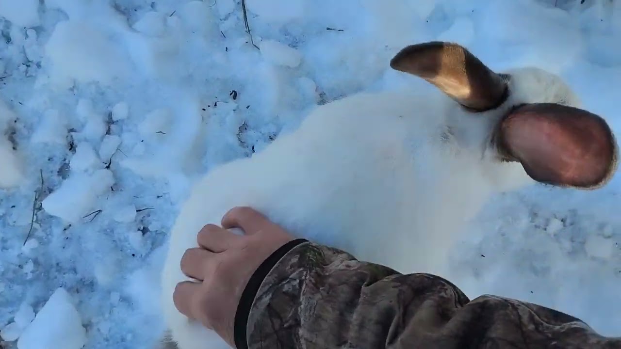 En attendant le redoux de température pour l'eau d'érable ..!