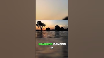 My Late Night Coding Reality: Fixing Bugs in the Zone!