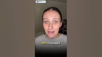 Do Pets Trigger OCD?