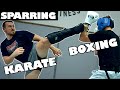 Punches Only VS Kicks Only Sparring | BOXING v KARATE