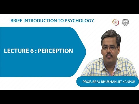 Lecture 6 : Perception