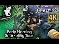 Early Morning Snorkeling Tour - Untersee