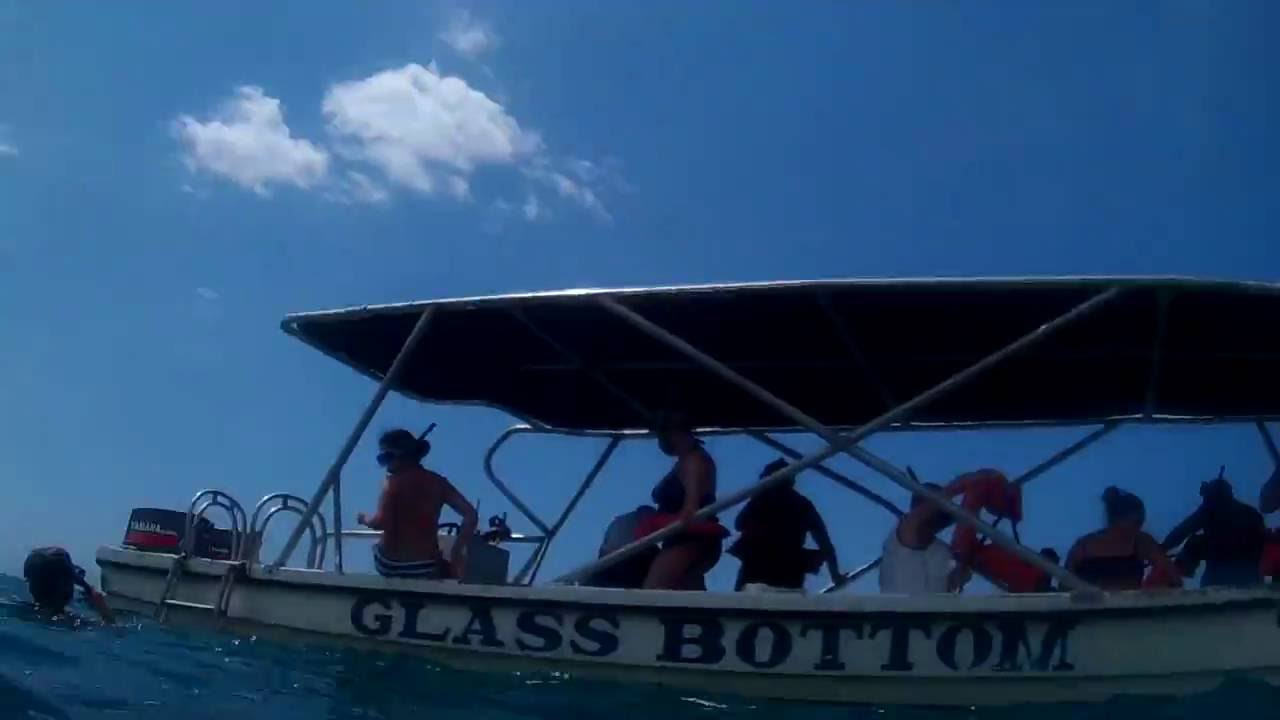 Jamaica 2016 Snorkeling with Jewel Paradise Cove Jamaica YouTube