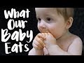 What Our Baby Eats In A Day | NomadiDaddy