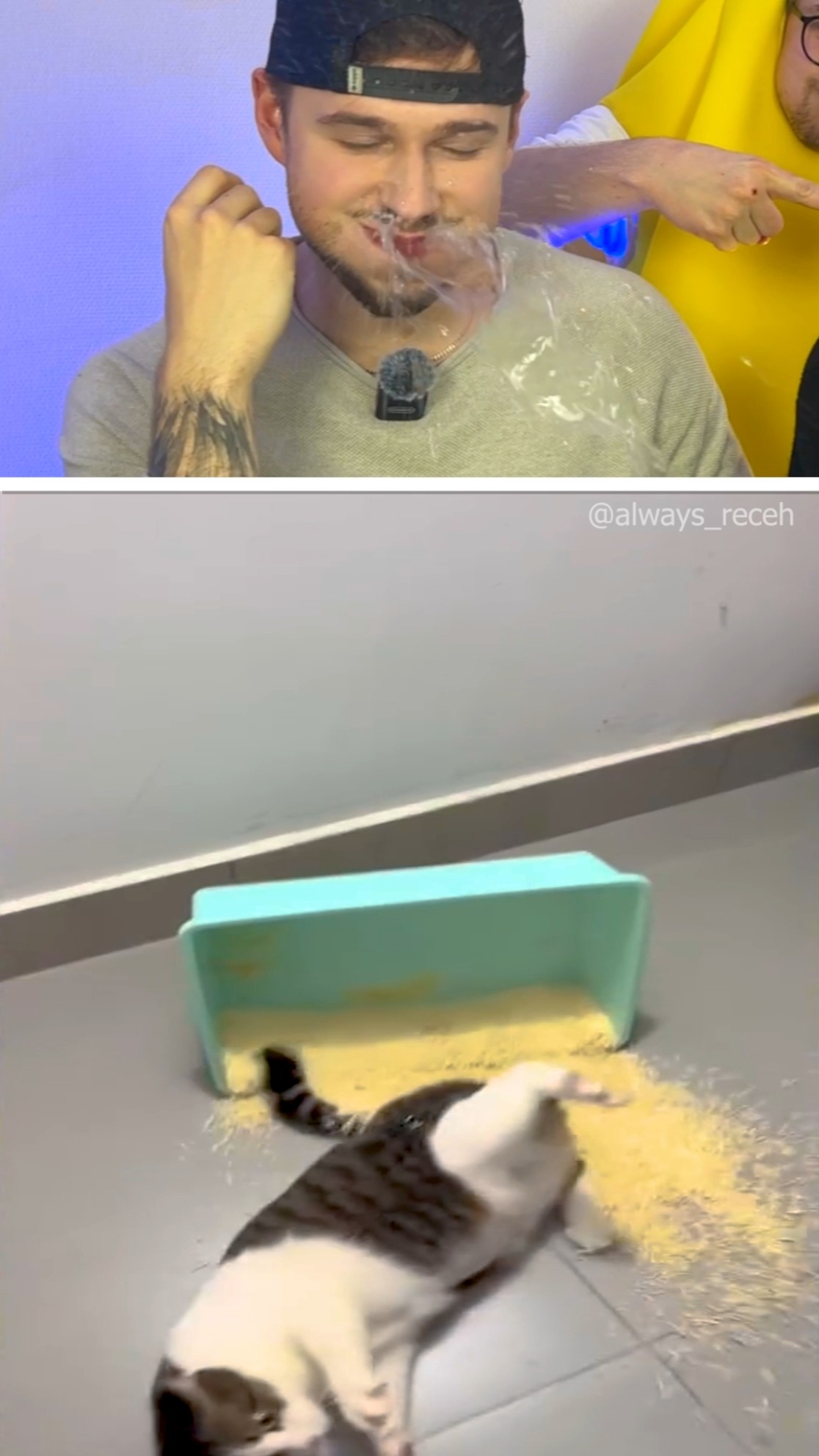 Don't Laugh ?