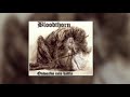 BloodThorn - The Brighter The Light,The Darker The Shadow