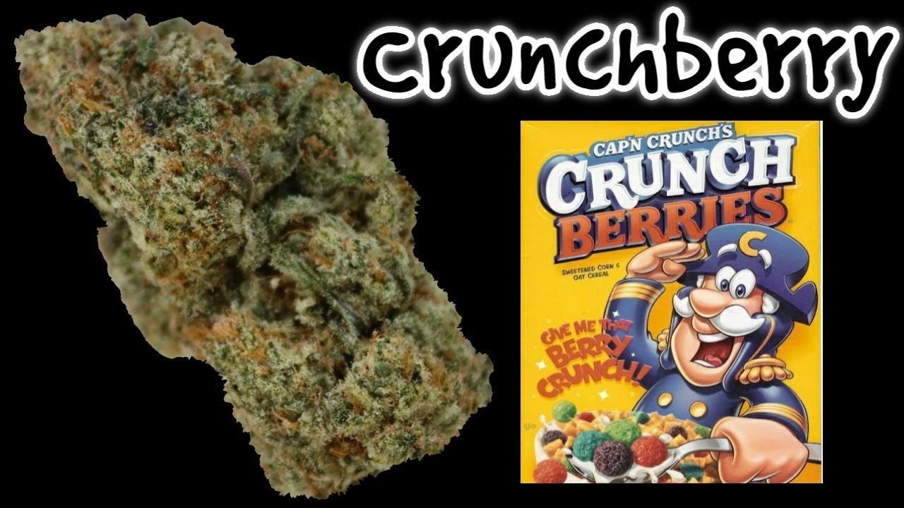 Crunchberry OFFICIAL STRAIN REVIEW