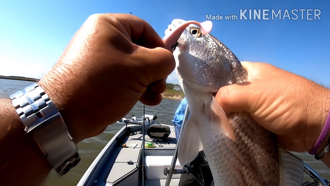 Day's of Fishing, better than... - YouTube