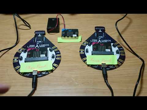 Simulating Mendel's Genetics Using Micro:bits
