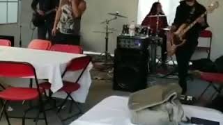 Banda de Rock para Fiestas y Eventos. Ciudad de México CDMX DF Y Estado De México Azar RockBand