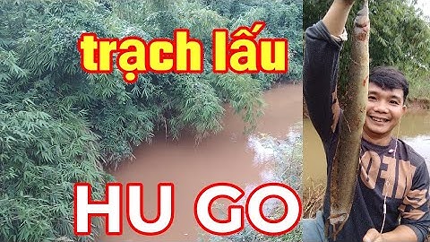 ngày câu cá suối may mắn lên cá trạch lấu khủng cá lăng và nhiều loại cá ngon