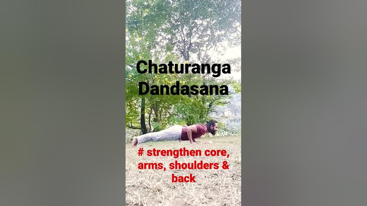 Oficina do Asana: Chaturanga Dandasana - Santosha