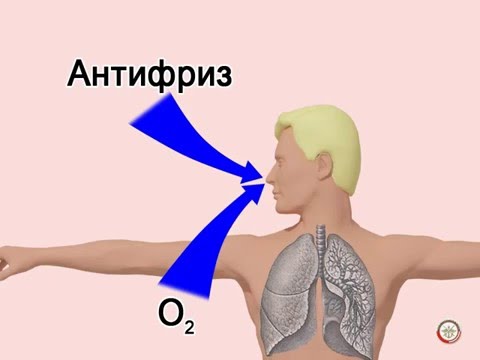 Основные проявления отравлений выхлопными газами