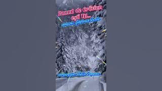 Pomul de Crăciun ești TU...