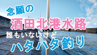 酒田北港水路でハタハタ釣り Youtube