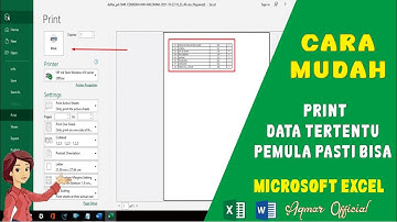 Cara print data tertentu di microsoft excel dengan mudah