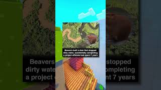 Beavers Do It Better 🦫 💯