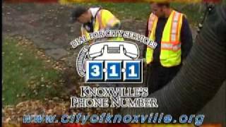 City of Knoxville Leaf Pickup 2010
