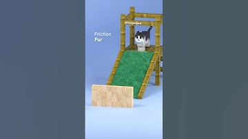 The cat goes down the slide! But… what’s with the floor?! 🐱🛝 | 3D Friction Test