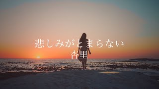 「悲しみがとまらない」杏里（I can’t stop the loneliness / Anri） by ニャンコ 29,017 views 2 years ago 4 minutes, 25 seconds