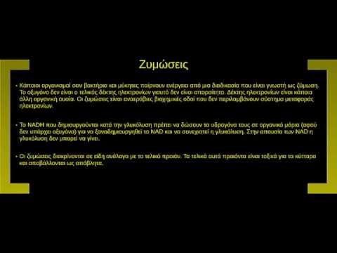 Αναερόβια αναπνοή - Ζυμώσεις