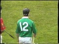 Munster Senior Hurling Quarter Final 1994 (2 of 2)