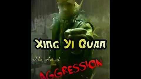 The practice of Zuan Quan, Pao Quan & Heng Quan.