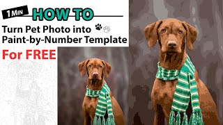 Paint Your Pet With Numbers! How To Turn Pet Photo Into Paint-By-Number Template For Free At Home screenshot 1