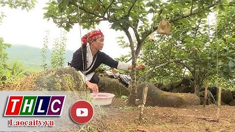 Khai thác tiềm năng du lịch của vùng lê Nậm Pung| THLC