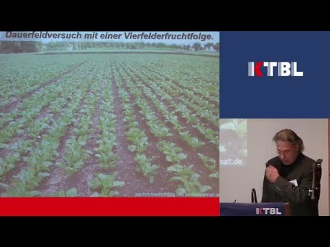 Video: 2-reihige Gerstenpflanzen: Anbau von 2-reihiger Braugerste im Hausgarten