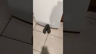 21 De Março De 2025