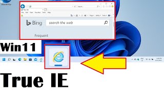 Internet Explorer 11 running on Windows 11 with proof (standalone app) screenshot 3