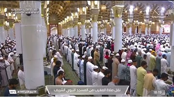 تلاوة لسورتي الكافرون و الإخلاص للشيخ د. #صلاح_البدير | مغرب الثلاثاء 8 ربيع الآخر 1447هـ