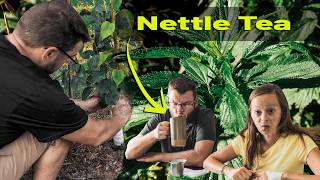 Apple Trees and Nettle Tea - How's the Garden Look?