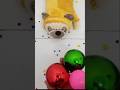 Insanely Satisfying Reverse Beads ASMR — Colorful Balls &amp; Pure Relaxation #shorts