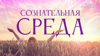 Сознательная среда  #сознательная_среда #весталия #школаcорадение