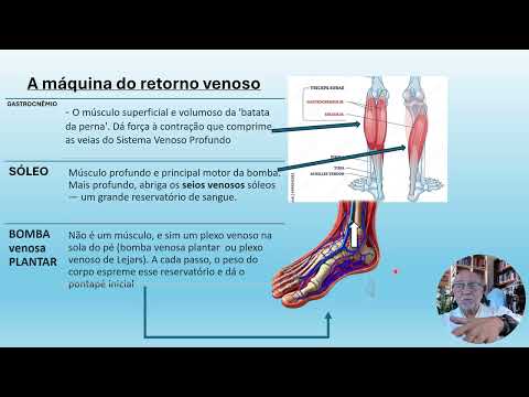 Bomba da panturrilha e feridas crônicas