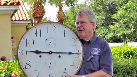 Palm Tree Pruning.mov