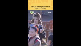 영원히 춤추는 히히캣들