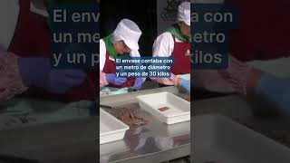 La lata de conservas más grande del mundo, con 3.232 anchoas, es de Laredo (Cantabria)