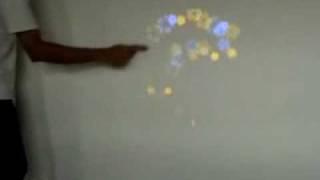CGI Project Array-Portfolio-Interactive Wall-Flower Game
