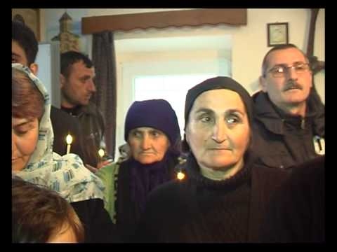 კალაური გუთანში