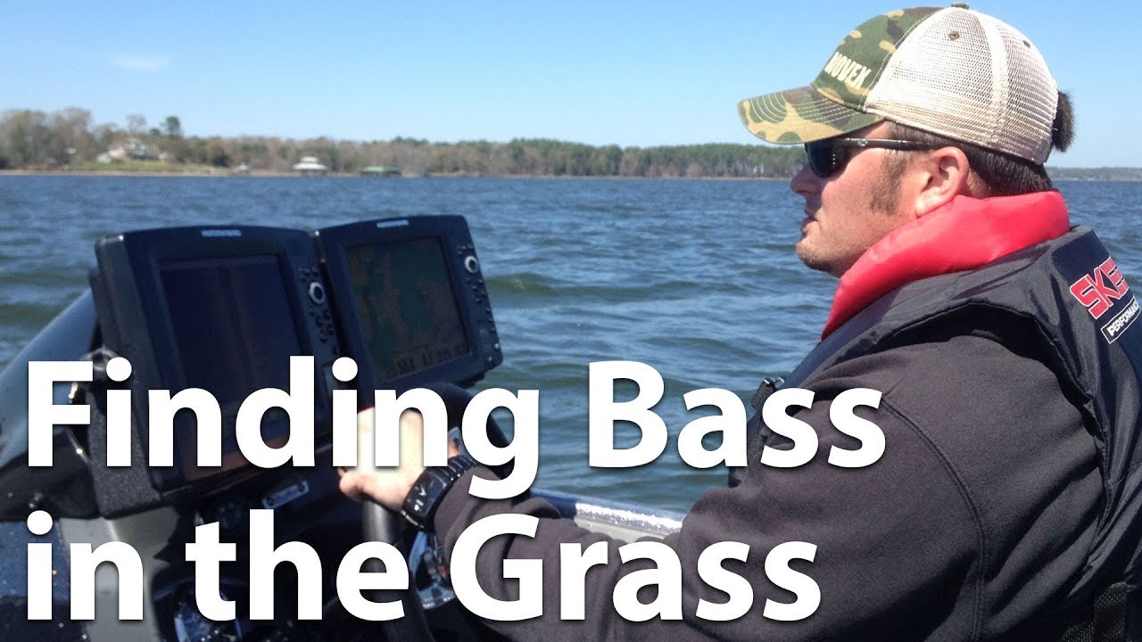 Webinar Finding Bass in the Grass YouTube