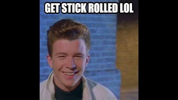 stick bug