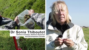 Cooperative Demonstration of Technology on Munitions Related Contamination - short version