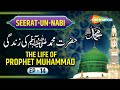 Seerat Un Nabi Series ﷺ | The Life Of Prophet Muhammad ﷺ | Part 14 | Maulana Ismail Lal Navsari DB