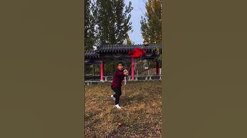 摄影师不干了，说破头是小事。#流星锤