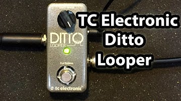 TC Electronic Ditto Looper - Compact Straightforward Looper